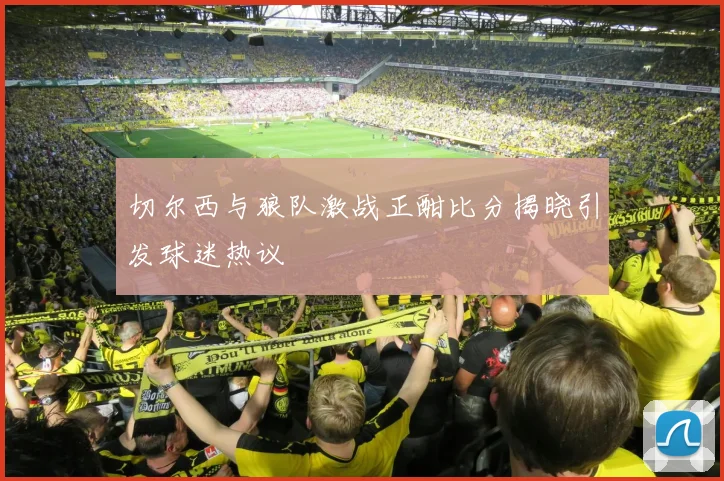 切尔西与狼队激战正酣比分揭晓引发球迷热议